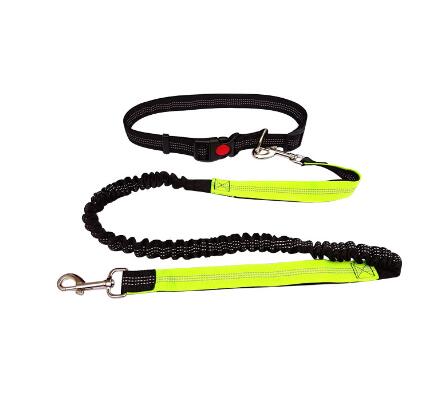 Dogs Running Elasticity Hand Freely Leash