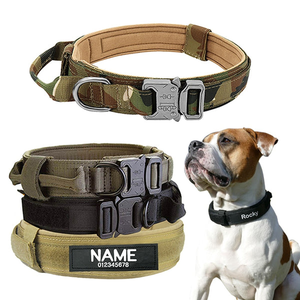 Dog Customized Tag Collar