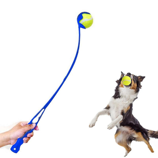 Dog Fluorescent Ball Launcher Toy